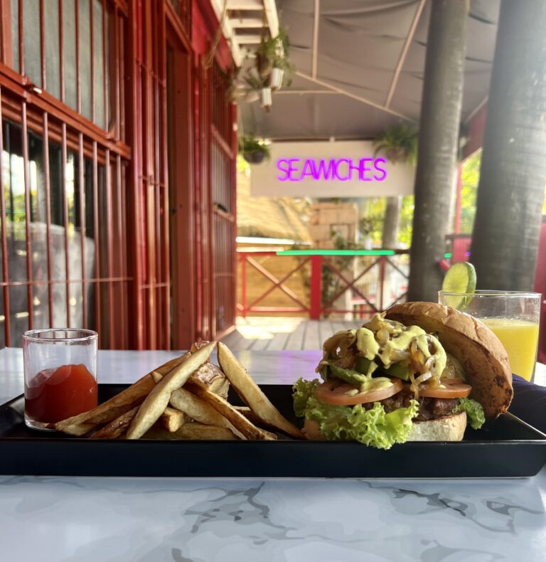 Vegan burger with fries