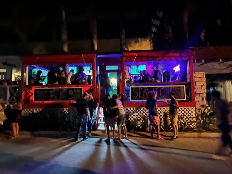 Seawiches at night